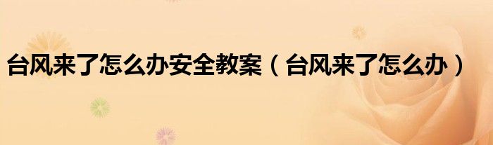 台风来了怎么办安全教案(台风来了怎么办)
