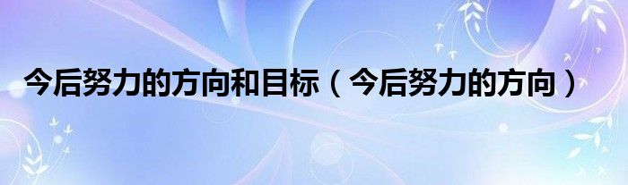 今后努力的方向和目标(今后努力的方向)