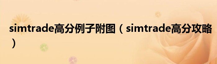 simtrade高分例子附图(simtrade高分攻略)