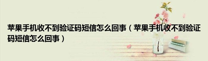 苹果手机收不到验证码短信怎么回事(苹果手机收不到验证码短信怎么回事)