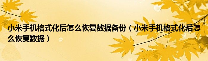 小米手机格式化后怎么恢复数据备份(小米手机格式化后怎么恢复数据)