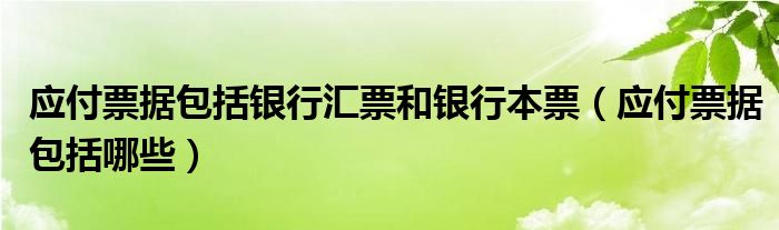 应付票据包括银行汇票和银行本票(应付票据包括哪些)