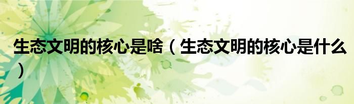 生态文明的核心是啥(生态文明的核心是什么)