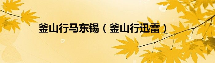 釜山行马东锡(釜山行迅雷)
