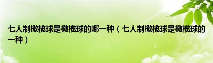 七人制橄榄球是橄榄球的哪一种(七人制橄榄球是橄榄球的一种)