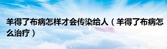 羊得了布病怎样才会传染给人(羊得了布病怎么治疗)