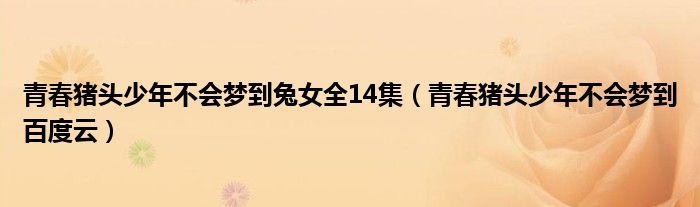 青春猪头少年不会梦到兔女全14集(青春猪头少年不会梦到百度云)