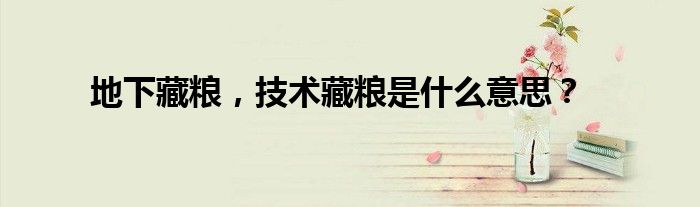 地下藏粮,技术藏粮是什么意思?