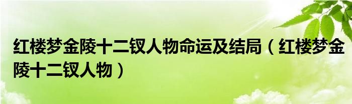 红楼梦金陵十二钗人物命运及结局(红楼梦金陵十二钗人物)