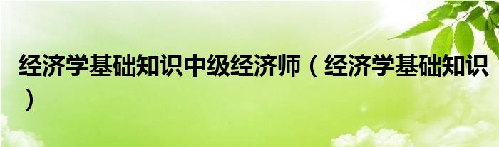 经济学基础知识中级经济师(经济学基础知识)