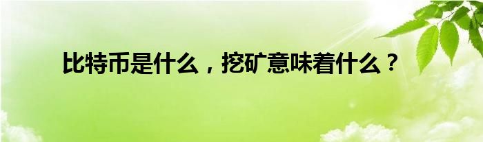 比特币是什么,挖矿意味着什么?