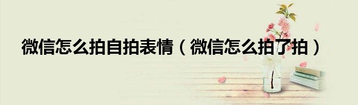 微信怎么拍自拍表情(微信怎么拍了拍)