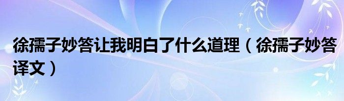 徐孺子妙答让我明白了什么道理(徐孺子妙答译文)