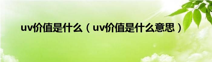 uv价值是什么(uv价值是什么意思)