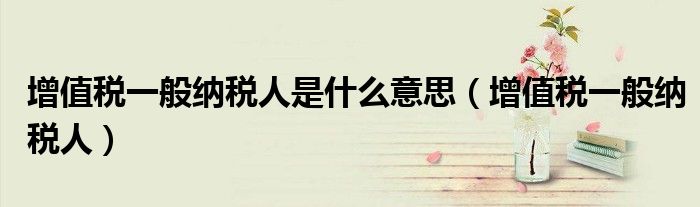 增值税一般纳税人是什么意思(增值税一般纳税人)