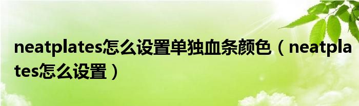 neatplates怎么设置单独血条颜色(neatplates怎么设置)