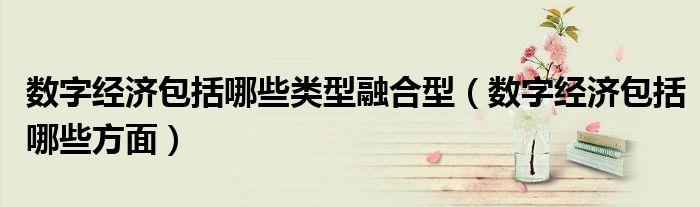 数字经济包括哪些类型融合型(数字经济包括哪些方面)