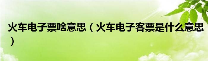 火车电子票啥意思(火车电子客票是什么意思)
