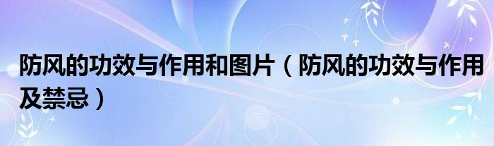 防风的功效与作用和图片(防风的功效与作用及禁忌)