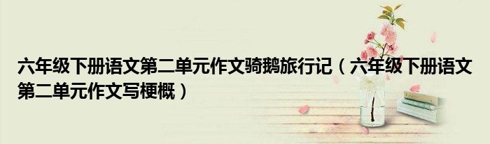 六年级下册语文第二单元作文骑鹅旅行记(六年级下册语文第二单元作文写梗概)