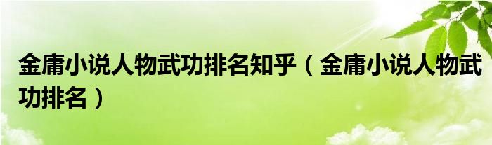 金庸小说人物武功排名知乎(金庸小说人物武功排名)
