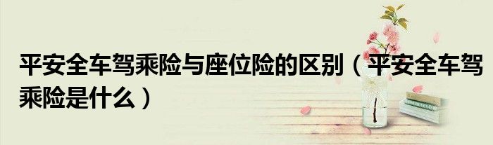 平安全车驾乘险与座位险的区别(平安全车驾乘险是什么)