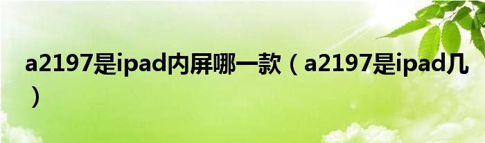 a2197是ipad内屏哪一款(a2197是ipad几)