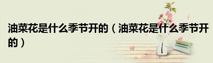油菜花是什么季节开的(油菜花是什么季节开的)