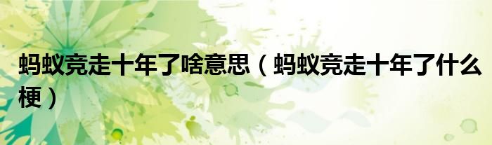 蚂蚁竞走十年了啥意思(蚂蚁竞走十年了什么梗)