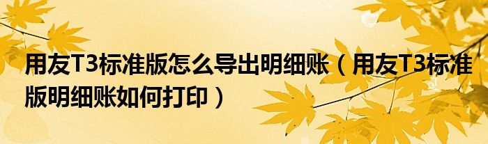 用友T3标准版怎么导出明细账(用友T3标准版明细账如何打印)