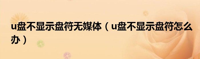 u盘不显示盘符无媒体(u盘不显示盘符怎么办)