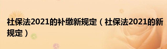 社保法2021的补缴新规定(社保法2021的新规定)