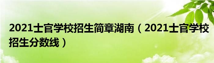 2021士官学校招生简章湖南(2021士官学校招生分数线)