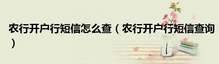 农行开户行短信怎么查(农行开户行短信查询)