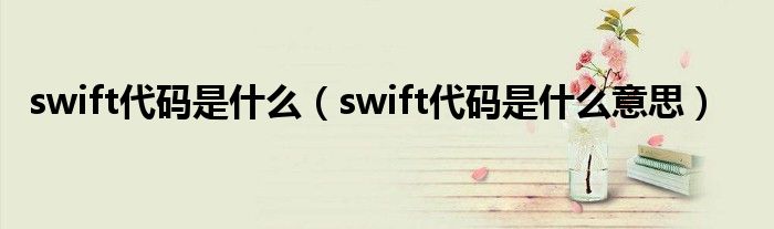 swift代码是什么(swift代码是什么意思)