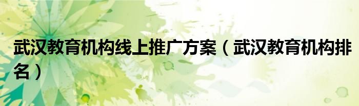 武汉教育机构线上推广方案(武汉教育机构排名)