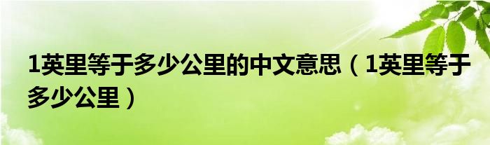 1英里等于多少公里的中文意思(1英里等于多少公里)