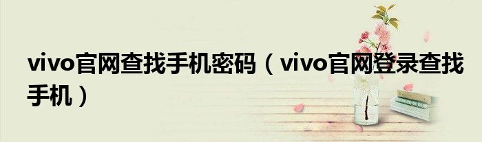 vivo官网查找手机密码(vivo官网登录查找手机)