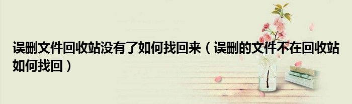 误删文件回收站没有了如何找回来(误删的文件不在回收站如何找回)