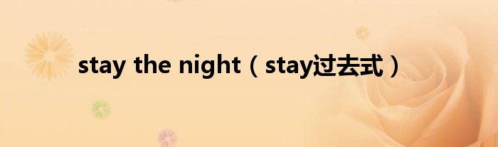 stay the night(stay过去式)