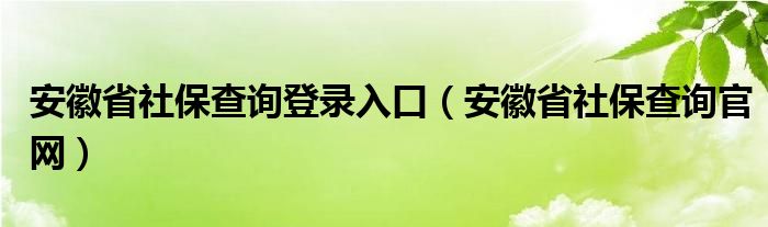 安徽省社保查询登录入口(安徽省社保查询官网)