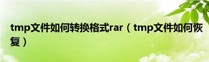 tmp文件如何转换格式rar(tmp文件如何恢复)