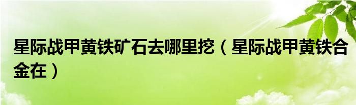 星际战甲黄铁矿石去哪里挖(星际战甲黄铁合金在)