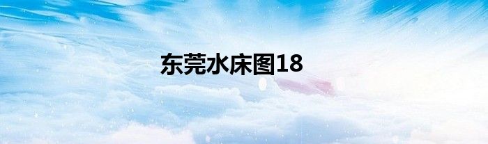 东莞水床图18
