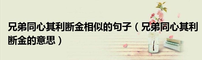 兄弟同心其利断金相似的句子(兄弟同心其利断金的意思)
