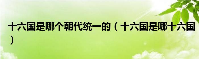 十六国是哪个朝代统一的(十六国是哪十六国)