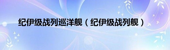 纪伊级战列巡洋舰(纪伊级战列舰)