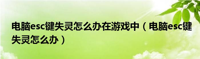 电脑esc键失灵怎么办在游戏中(电脑esc键失灵怎么办)