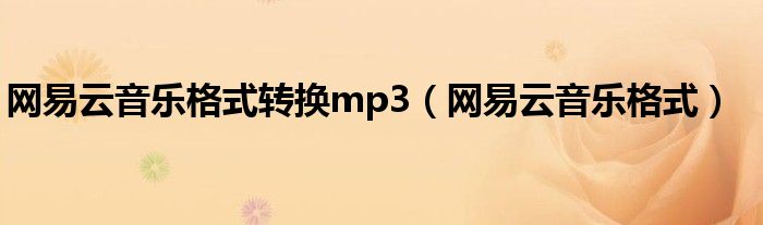 网易云音乐格式转换mp3(网易云音乐格式)