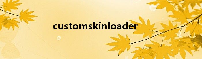 customskinloader